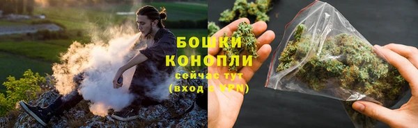 Альфа ПВП Бородино