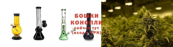 гидропоника Бронницы