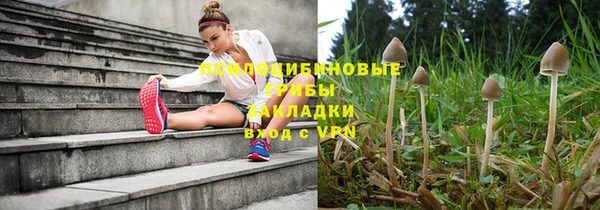 Альфа ПВП Бородино