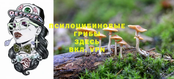 гидропоника Бронницы