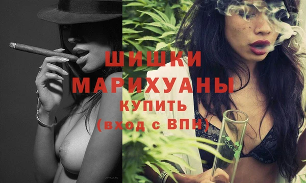 Альфа ПВП Бородино