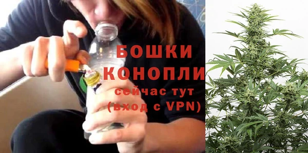 Альфа ПВП Бородино