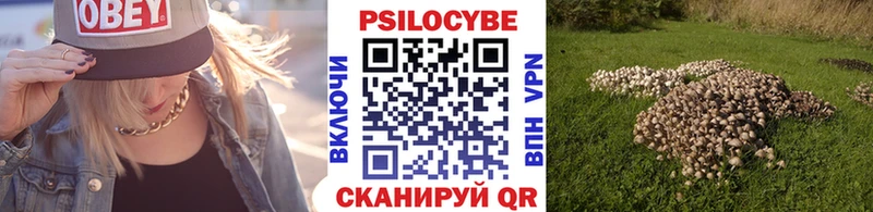 цены наркотик  KRAKEN вход  Псилоцибиновые грибы мухоморы  Каневская 